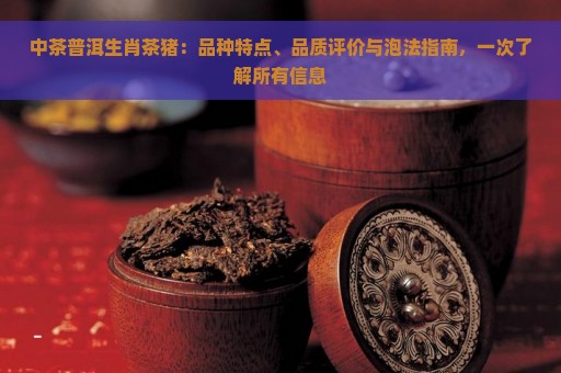 中茶普洱生肖茶猪：品种特点、品质评价与泡法指南，一次了解所有信息