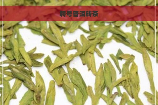 聘号普洱砖茶