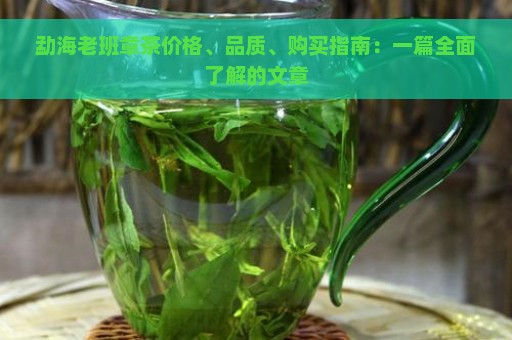 勐海老班章茶价格、品质、购买指南：一篇全面了解的文章