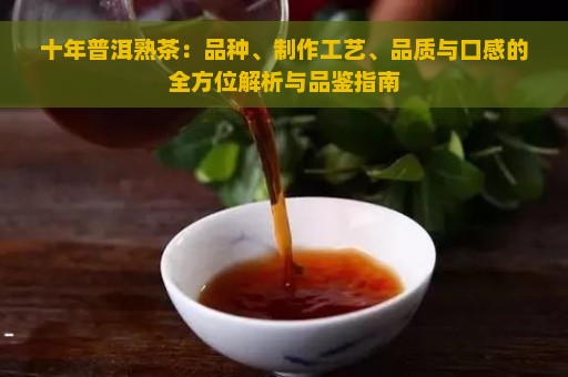 十年普洱熟茶：品种、制作工艺、品质与口感的全方位解析与品鉴指南