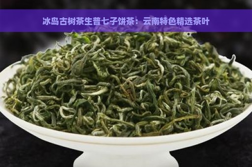 冰岛古树茶生普七子饼茶：云南特色精选茶叶