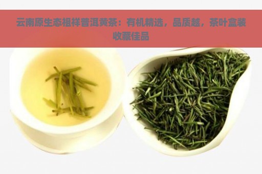 云南原生态祖祥普洱黄茶：有机精选，品质越，茶叶盒装收藏佳品