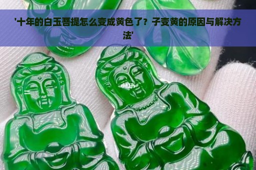 '十年的白玉菩提怎么变成黄色了？子变黄的原因与解决方法'