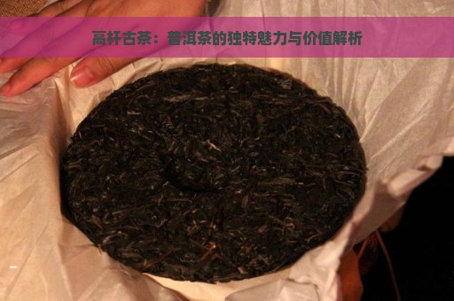 高杆古茶：普洱茶的独特魅力与价值解析