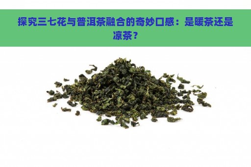 探究三七花与普洱茶融合的奇妙口感：是暖茶还是凉茶？