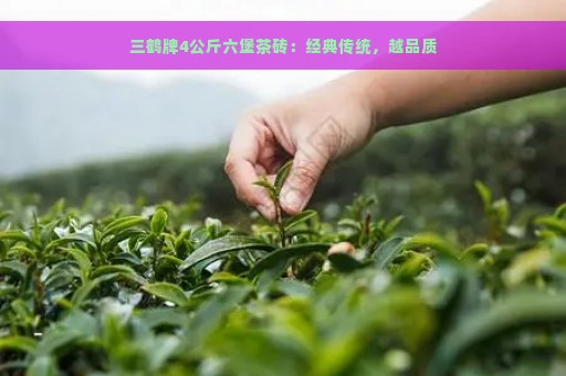 三鹤牌4公斤六堡茶砖：经典传统，越品质