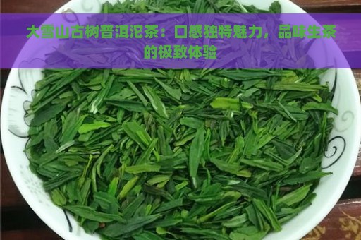 大雪山古树普洱沱茶：口感独特魅力，品味生茶的极致体验