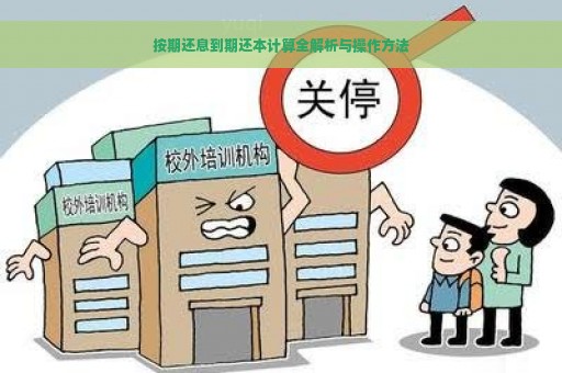 按期还息到期还本计算全解析与操作方法