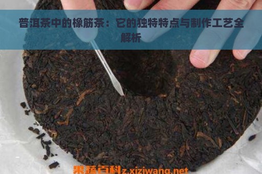 普洱茶中的橡筋茶：它的独特特点与制作工艺全解析