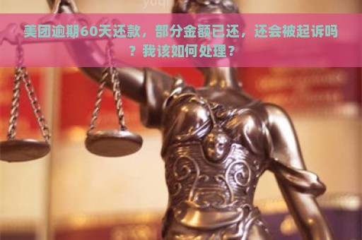 美团逾期60天还款，部分金额已还，还会被起诉吗？我该如何处理？