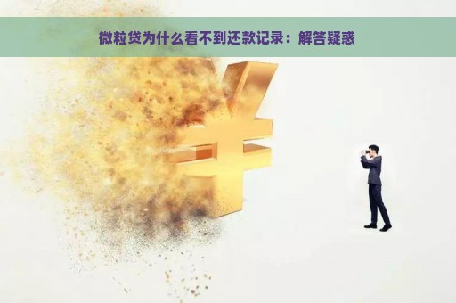 微粒贷为什么看不到还款记录：解答疑惑