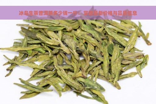 冰岛生茶普洱茶多少钱一斤： 掌握最新价格与品质信息