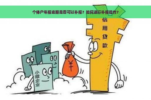 个体户年报逾期是否可以补报？如何进行补报操作？