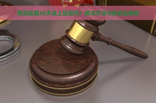 网贷逾期20天会上征信吗？解决方法与影响全解析