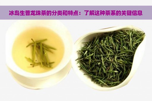 冰岛生普龙珠茶的分类和特点：了解这种茶系的关键信息