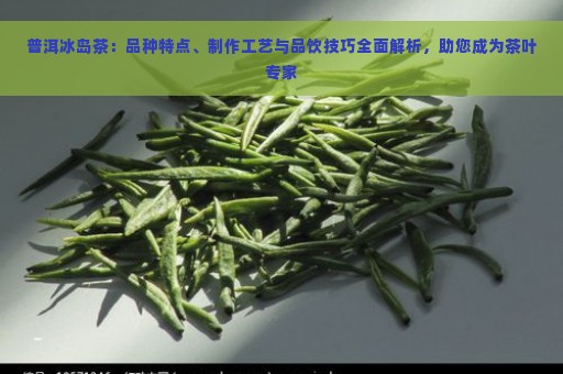 普洱冰岛茶：品种特点、制作工艺与品饮技巧全面解析，助您成为茶叶专家