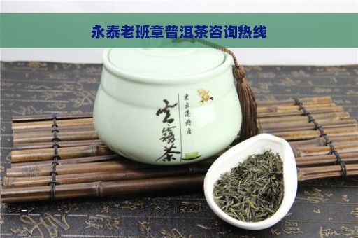 永泰老班章普洱茶咨询热线