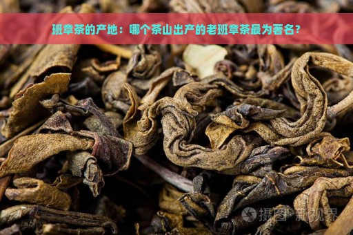 班章茶的产地：哪个茶山出产的老班章茶最为著名？