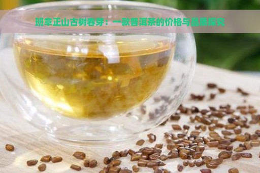 班章正山古树春芽：一款普洱茶的价格与品质探究