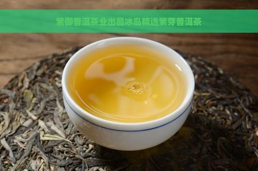 紫御普洱茶业出品冰岛精选紫芽普洱茶