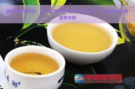 老班章贵在哪里：探寻普洱茶的核心价值与魅力 - 以云南布朗山老班章为例