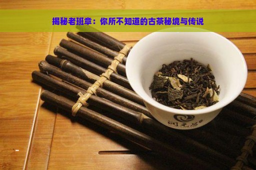 揭秘老班章：你所不知道的古茶秘境与传说