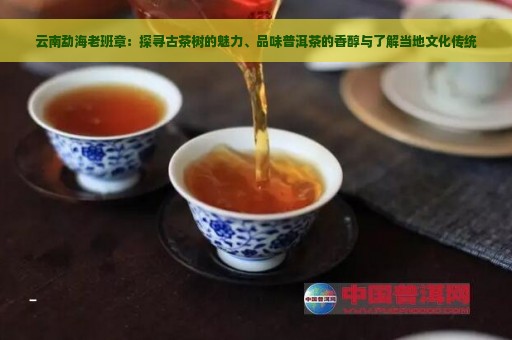 云南勐海老班章：探寻古茶树的魅力、品味普洱茶的香醇与了解当地文化传统