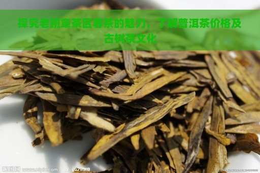 探究老班章茶区春茶的魅力，了解普洱茶价格及古树茶文化