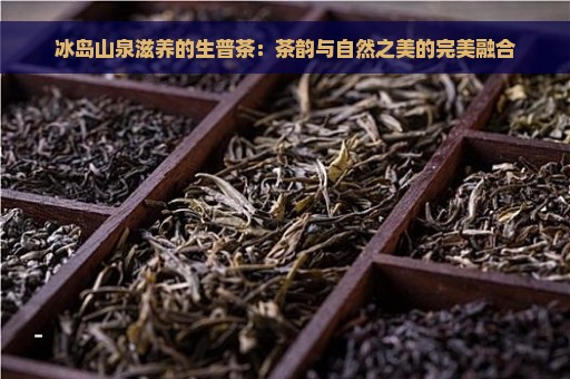 冰岛山泉滋养的生普茶：茶韵与自然之美的完美融合