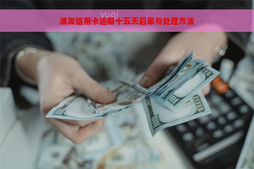 浦发信用卡逾期十五天后果与处理方法