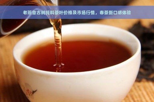 老班章古树纯料茶叶价格及市场行情，春茶新口感体验