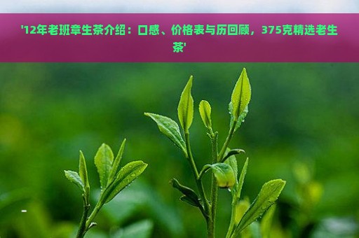 '12年老班章生茶介绍：口感、价格表与历回顾，375克精选老生茶'