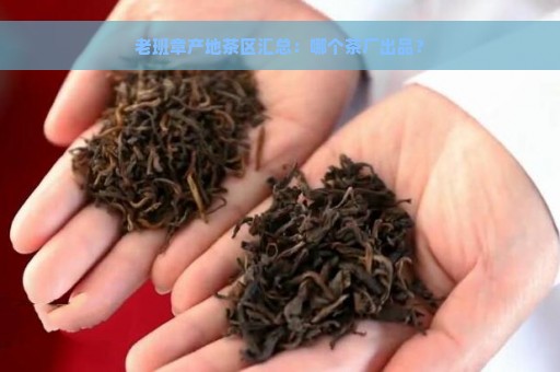 老班章产地茶区汇总：哪个茶厂出品？