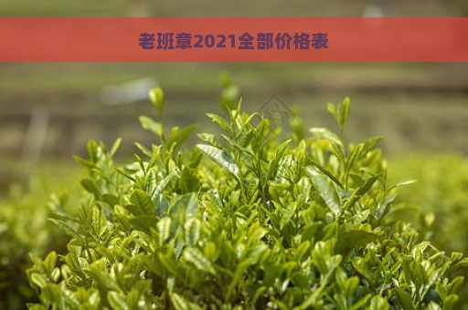 老班章2021全部价格表