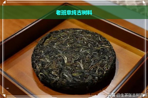 老班章纯古树料