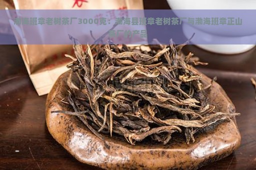 渤海班章老树茶厂3000克：渤海县班章老树茶厂与渤海班章正山茶厂的产品