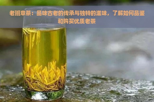 老班章茶：品味古老的传承与独特的滋味，了解如何品鉴和购买优质老茶