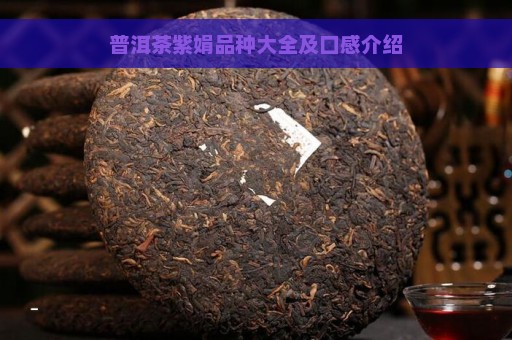 普洱茶紫娟品种大全及口感介绍