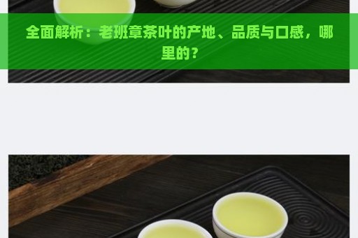 全面解析：老班章茶叶的产地、品质与口感，哪里的？