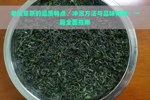 老班章茶的品质特点、冲泡方法与品味体验：一篇全面指南