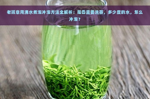 老班章用沸水煮泡冲泡方法全解析：是否需要洗茶，多少度的水，怎么冲泡？