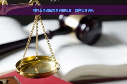 网贷逾期调档案真实性核查：案件信息确认