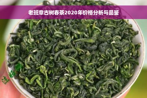 老班章古树春茶2020年价格分析与品鉴