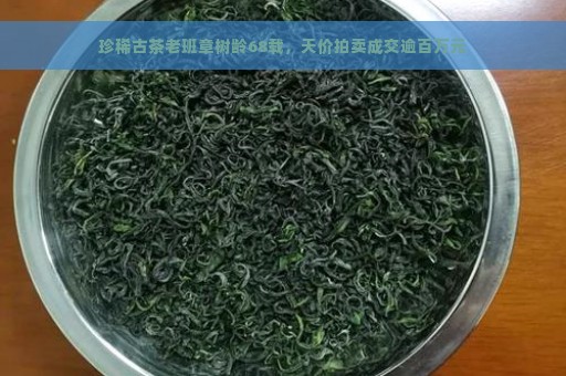 珍稀古茶老班章树龄68载，天价拍卖成交逾百万元