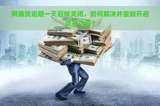 网商贷逾期一天后被关闭，如何解决并重新开启贷款功能？