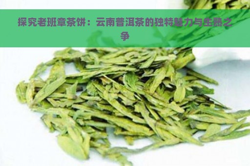 探究老班章茶饼：云南普洱茶的独特魅力与生熟之争