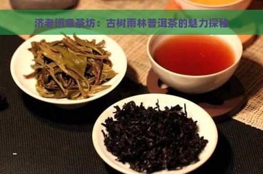 济老班章茶坊：古树雨林普洱茶的魅力探秘