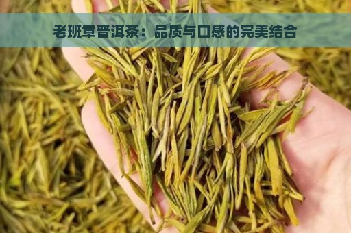 老班章普洱茶：品质与口感的完美结合