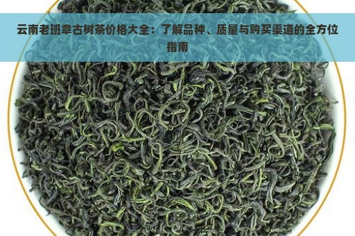 云南老班章古树茶价格大全：了解品种、质量与购买渠道的全方位指南