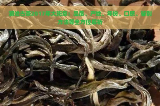 澜沧古茶2017年大班章：品质、产地、年份、口感、鉴别方法等全方位解析